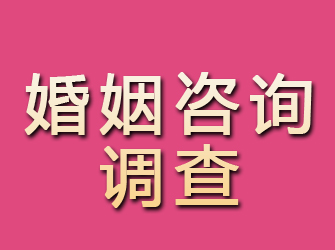 青田婚姻咨询调查